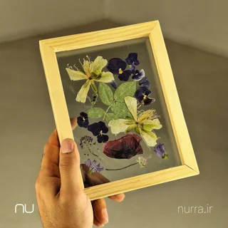 قاب گل های جاودان دشت